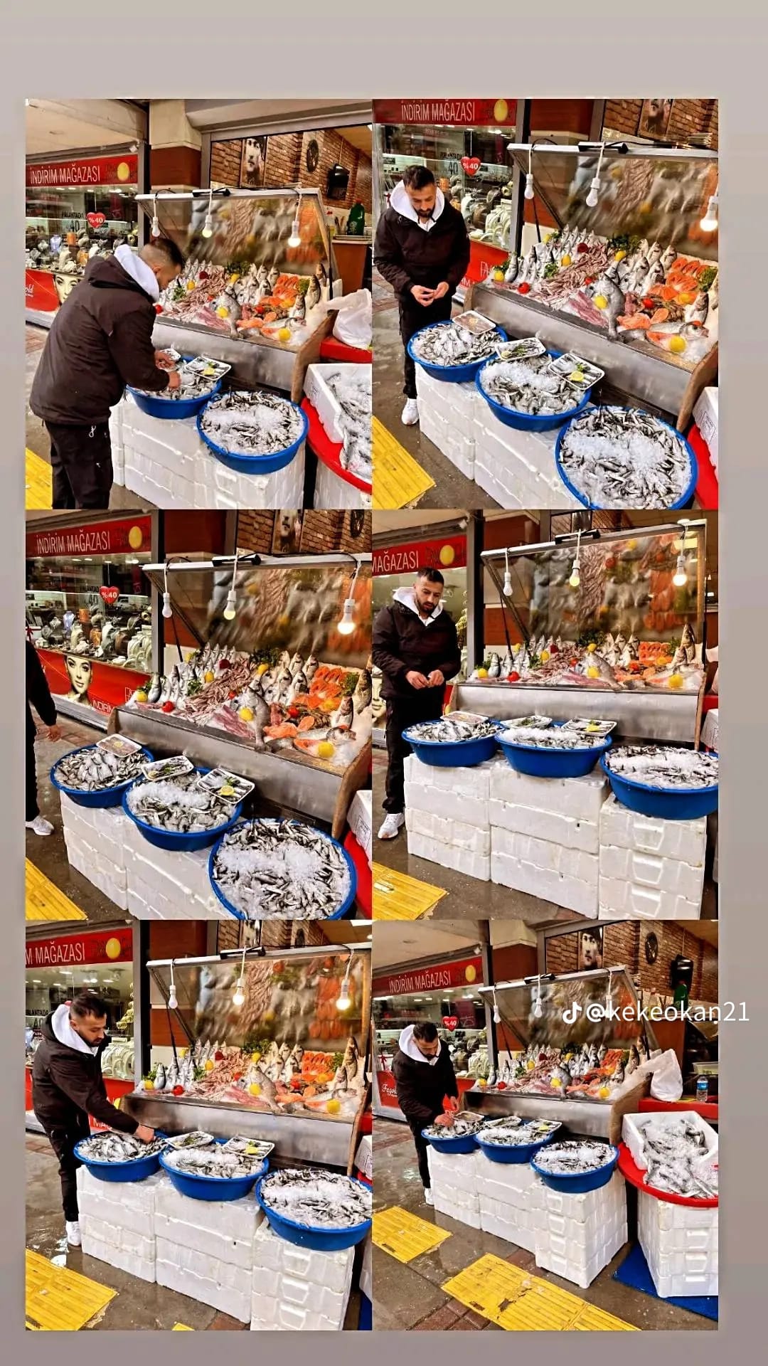 Okyanus Balıkçılık 